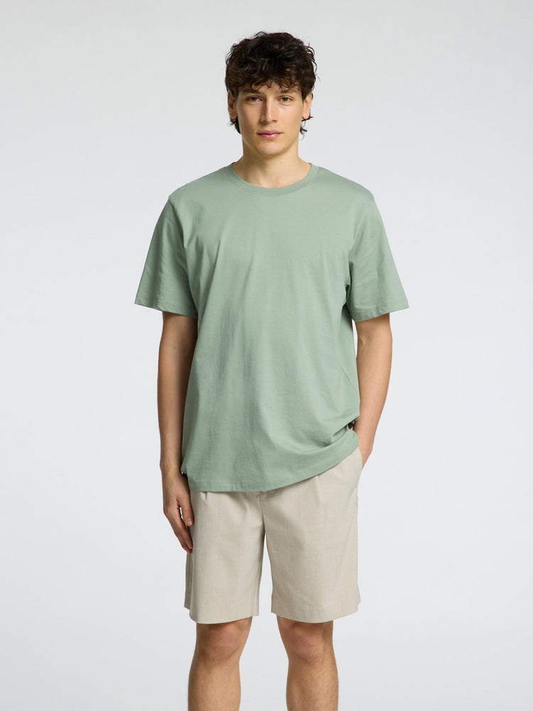 Selectedhomme slhaspen tee iceberg green