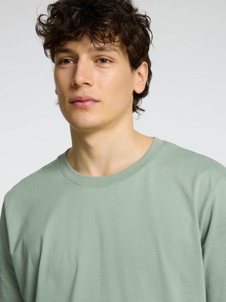 Selectedhomme slhaspen tee iceberg green