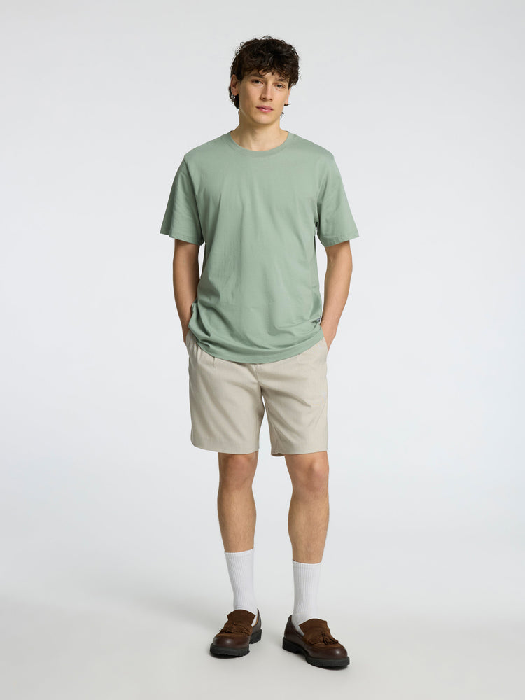 Selectedhomme slhaspen tee iceberg green