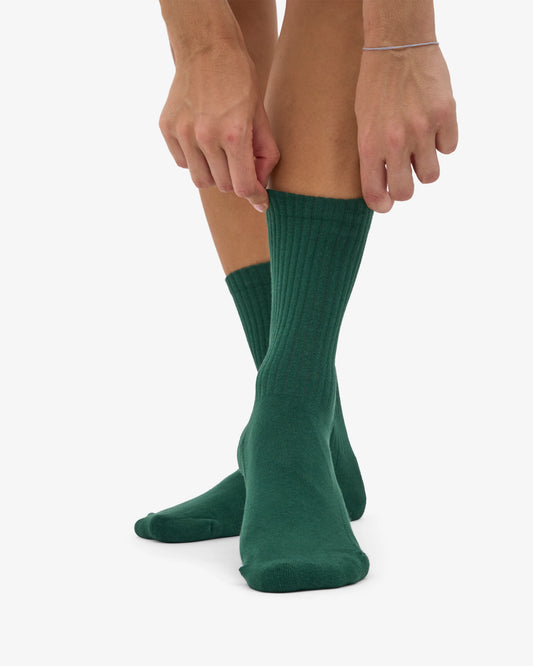 Colorful standard organic active socks emerald green