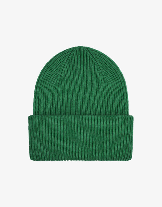 Colorful standard merino wool hat kelly green