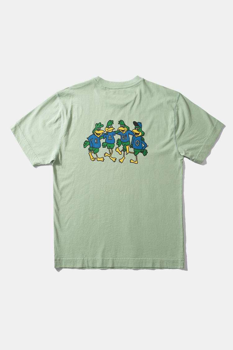 Edmmond parrots t-shirt plain mint
