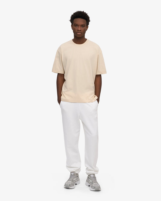 Colorful standard oversized organic t-shirt cs2056 ivory white